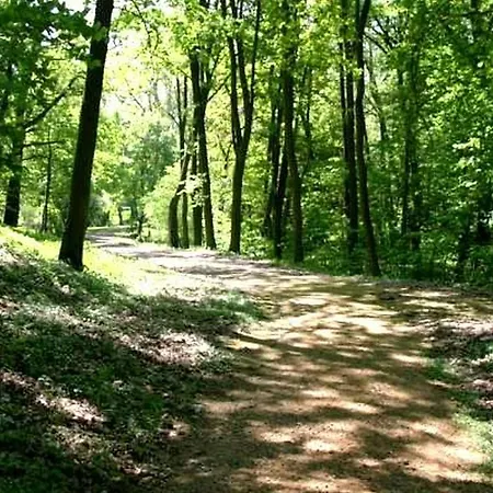 Dworek Jeziorki Bed & Breakfast 3*